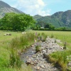 Ennerdale