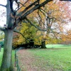 Nidd Parkland in Autumn.