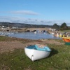 Harbour