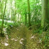 Footpath ... Great Bois Woods