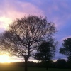Sunset over Astley Park, Chorley