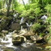 Becky Falls, Dartmoor