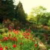 English country garden near Marden, Kent