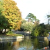 The Pells