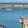St. Ives Harbour - Feeding Time for Dolphin - June 2003