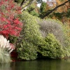 Autumn Colours
