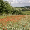 Darent Way