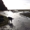 Humphrey Head