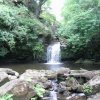 Thomason Foss, Beck Hole