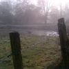 Misty morning