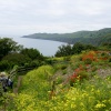 From Hallsands to startpoint