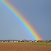 Norfolk rainbow