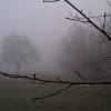 A misty morning near Frankley.