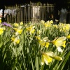 Brenchley Church