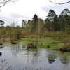 Still Waters