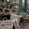 Little Shop