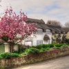 The Lane