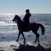 Rider in the Sand