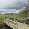 The Thames at Henley, up river from Henley