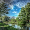 Bosworth Canal