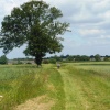 Bridleway, Rugby