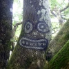 Golden cap