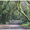 Pathway