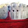 Poppies round the Tower of London