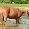 Time to cool down