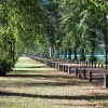 Pontcanna