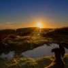 Bradgate park