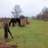 Sampford Moor