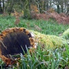 Wiviliscombe