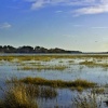 Arne RSPB Reserve