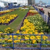 The seafront, Eastbourne, East Sussex