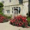 Wakehurst in bloom, 8th September 2014