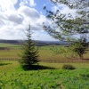 killerton House