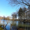 The Lake At Nidd, Winter afternoon.
