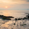 Estuary Sunrise, Sedbury.