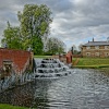 The Water Garden at Bushy Park