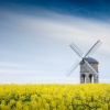 Chesterton windmill