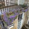 Bath, Somerset