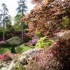 The Punch Bowl, Virginia Water