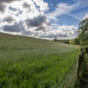 Hartshill Hayes