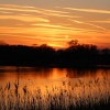 Deeping Lakes Nature Reserve