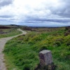 Falkland