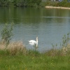 Pitsford Reservoir, Pitsford, Northamptonshire