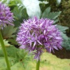 Gardens at Brixworth Country Park, Coton, Northamptonshire