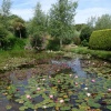 Bennetts Water Gardens