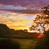The North Dorset Trailway
